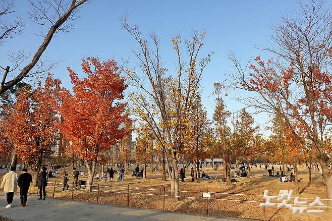 가을 부산시민공원. 송호재 기자