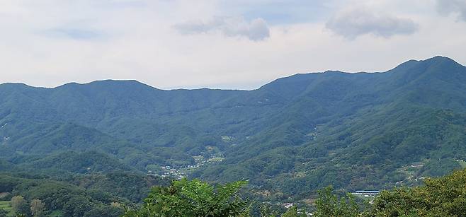 월경산 전경. 8부능선에 선을 그려놓은 듯 임도가 선명하다.