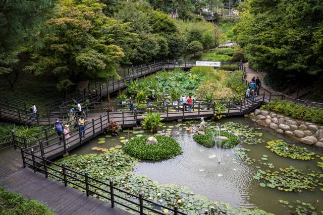 아차산생태공원 내 습지원.