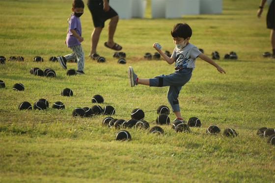 Inbai Kim's work installed at the Taehwagang National Garden Migratory Bird Park  as part of the 2021 Taehwa River Eco Art Festival (TEAF) in Ulsan  [TEAF]