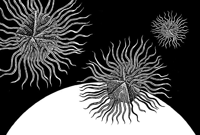 미국 최고의 과학저술가 칼 짐머가 쓴 ‘바이러스 행성’은 코로나19로 공포의 대상이 된 바이러스라는 존재를 들여다보게 해준다. 1950년대 이후 바이러스 연구 결과가 쏟아지고 있지만 인간이 바이러스에 대해 아는 것은 아직 많지 않다. 지구 어느 곳에나 바이러스가 있고, 어떤 생명체에도 바이러스가 있다. 이 중 무엇이 새로운 팬데믹을 일으킬지 예측할 수 없다. 이언 쇠너 그림