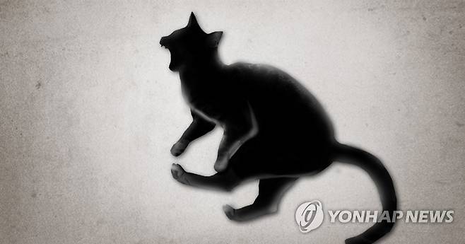 고양이 살해 (PG) [제작 정연주] 일러스트