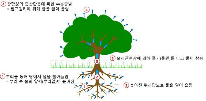 (이미지=최종수 위원)