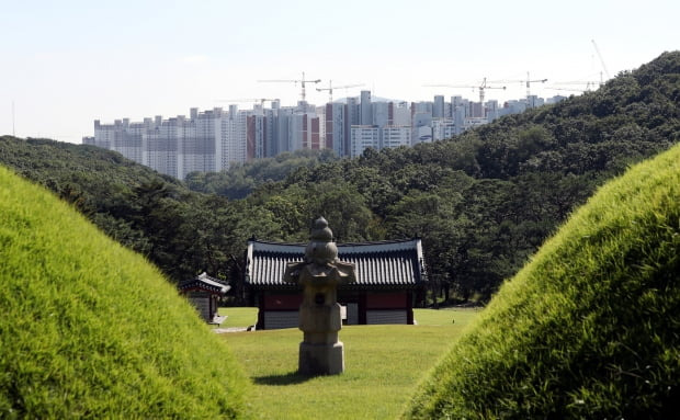 김포 장릉 사이로 보이는 신축 아파트 단지. 사진=연합뉴스