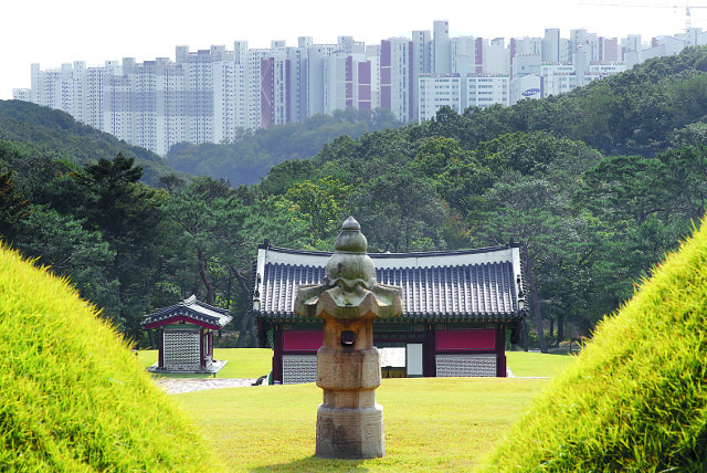 경기 김포시 풍무동에 위치한 장릉(사적 202호)에서 바라본 인천 검단신도시 아파트들의 모습. 3개 단지가 파주 장릉(인조의 무덤)과 김포 장릉(인조의 부모 무덤), 계양산을 일직선으로 잇는 조망을 막으면서 불법 건축 논란에 휩싸여 있다. 뉴시스