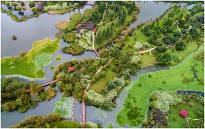 Photo shows a view of Baofeng Peninsula Wetland in Kunming, southwest China's Yunnan Province.