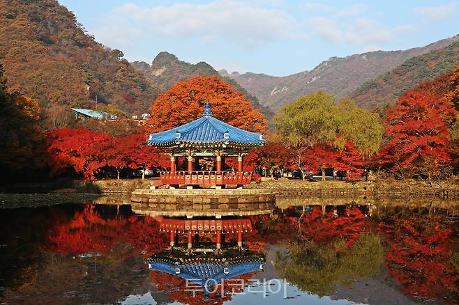 단풍 절정 맞은 정읍 내장산