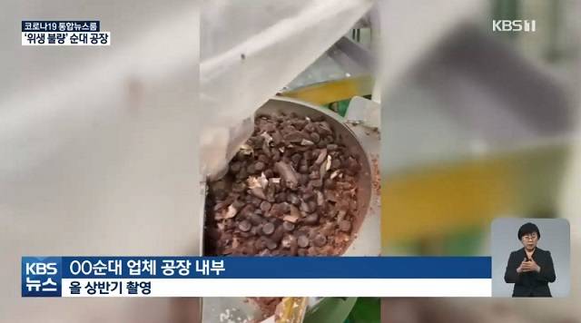 KBS 보도화면 캡처