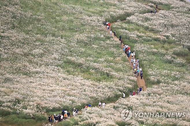 깊어가는 새별오름의 가을 [연합뉴스 자료사진]