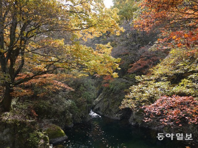 구룡사 창건 설화인 아홉 마리 용(九龍)과 얽혀 있는 구룡소.