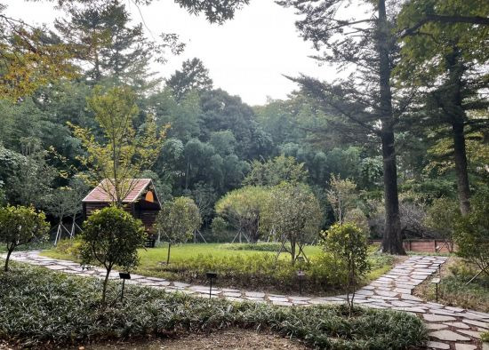 학교 숲 조성 분야에 우수사례로 선정된 다압중학교 내부 전경사진. 산림청 제공