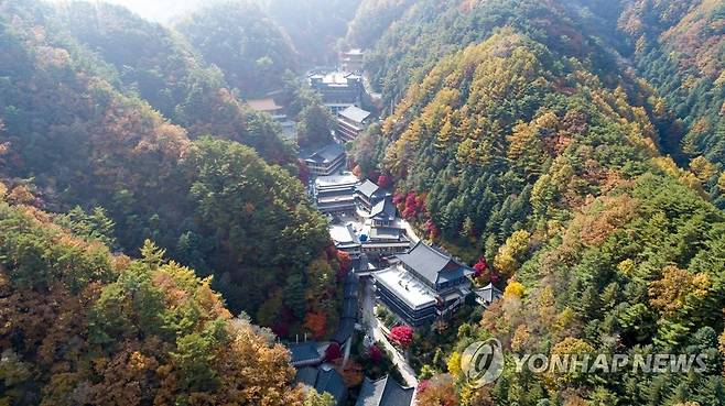 가을 품에 안긴 구인사 [연합뉴스 자료사진]