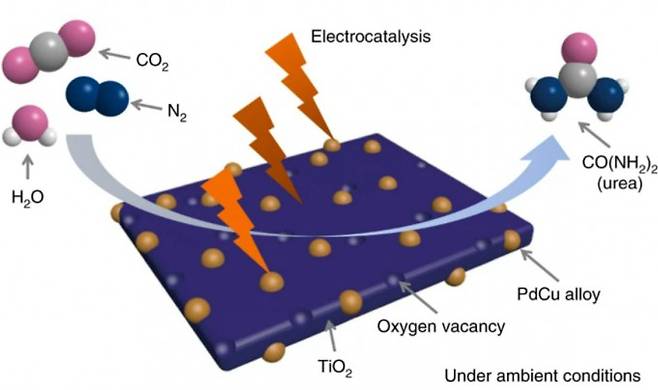 지난해 후난대가 주축이 된 공동연구팀은 티타늄산화물(TiO2) 나노시트에 분사한 팔라듐구리(PdCu) 합금 나노입자 촉매를 써서 질소분자와 이산화탄소, 물로 요소를 만드는 데 성공했다. 다만 촉매가 워낙 비싸 이를 대신할 수 있는 값싼 촉매를 찾아야 이 방법이 상업화될 수 있다. 네이처화학 제공