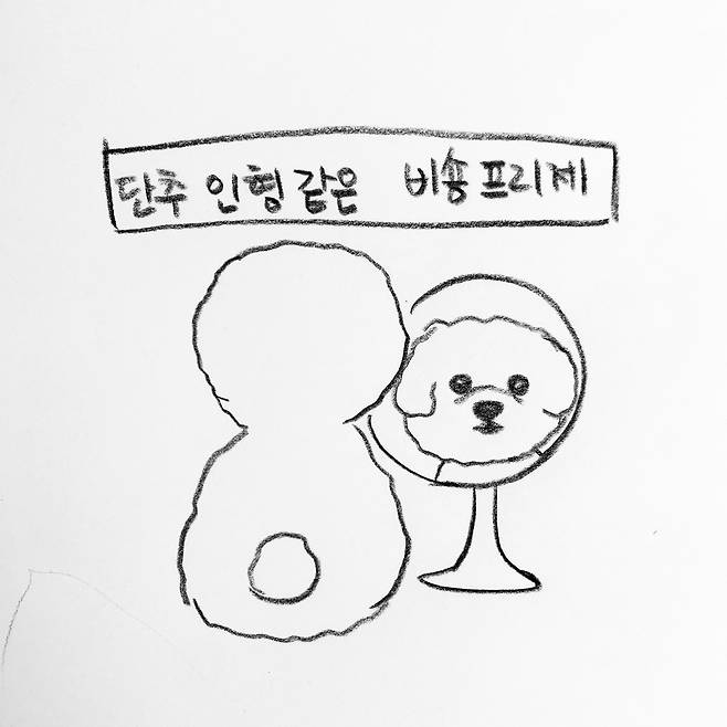 해피펫툰 비숑 프리제(한인가 수의사 제공) © 뉴스1
