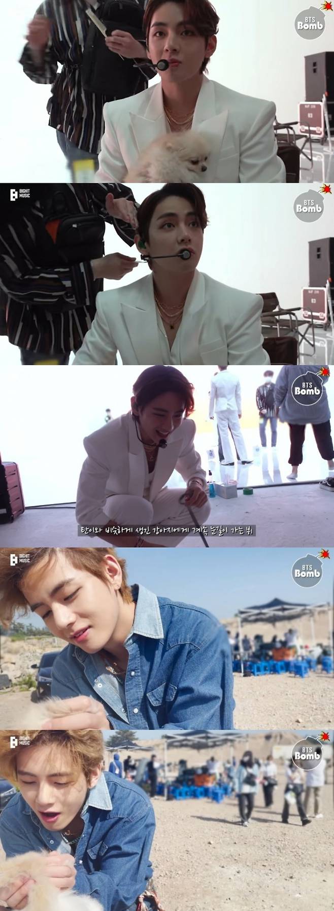 언제나 사랑 가득♡ 방탄소년단 뷔, 강아지도 질투하게 만드는 세상 가장 따뜻한 눈빛