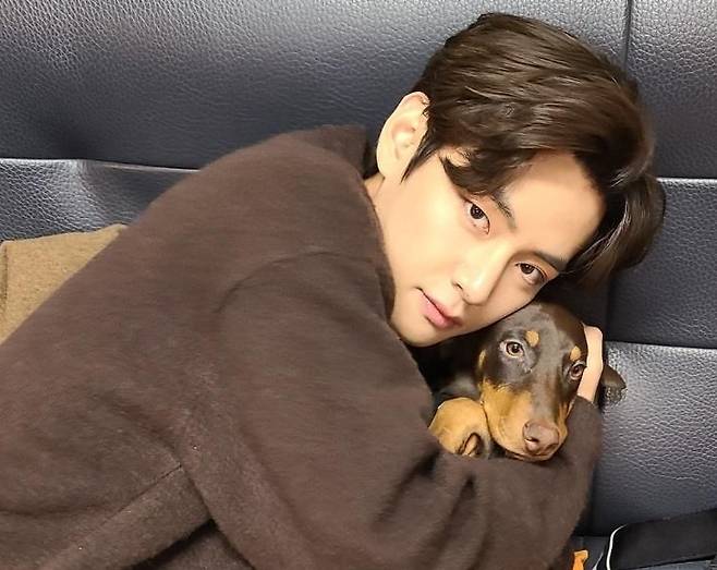 방탄소년단 뷔, 아기 밤과 러블리 투샷..아미 맘 녹이는 '미남테라피'