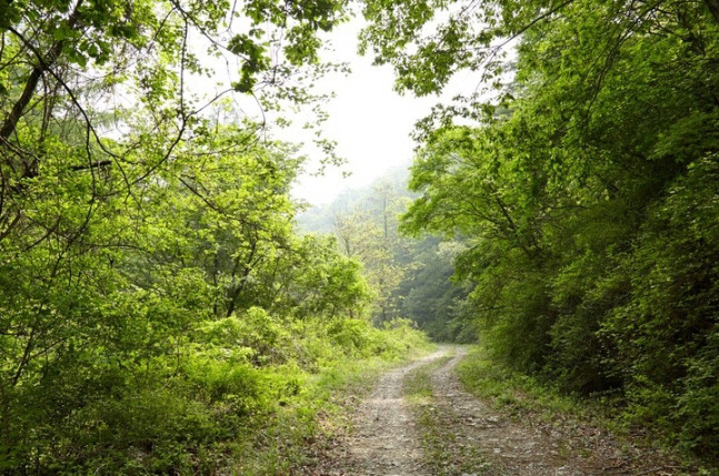 경기도 제공