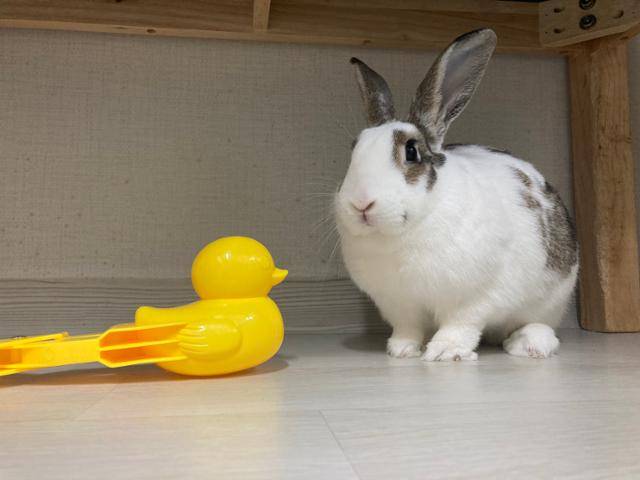 눈이 오는 날~ 햇살이는 눈오리 친구와 놀러가요! 이순지 기자