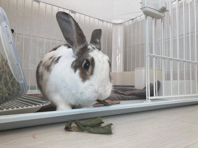 겨울에는 맛있는 간식들을 모아요. 이순지 기자