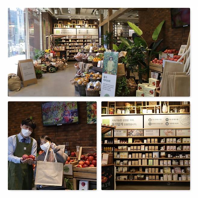 풀무원 올가홀푸드 제공