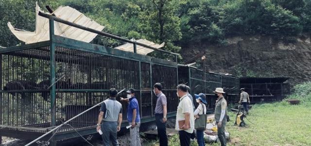 지난 7월 용인시 이동읍 한 사육농장에서 곰이 탈출했다. 용인시, 환경부, 경기도, 국립공원공단 관계자들이 탈출한 용인시 한 곰 사육농장을 살펴보고 있다. 용인시 제공