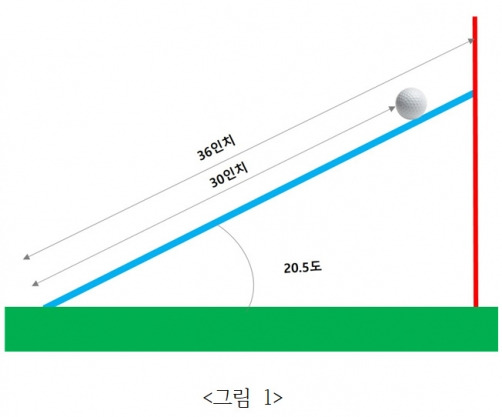 <그림 1> 제공=김구선