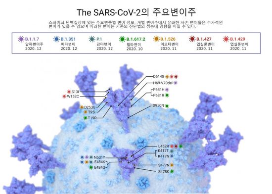코로나19 바이러스(SARS-CoV-2) RNA 주요변이주 스파이크 단백질의 변이정보. 그림 제공=한국표준과학연구원.