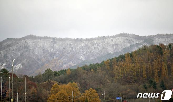 초겨울 날씨를 보인 11월12일 전북 장수군 마봉산 자락에 전날 내린 눈이 쌓여 단풍으로 물든 산과 대비를 이루고 있다. (장수군 제공) 2021.11.12/뉴스1