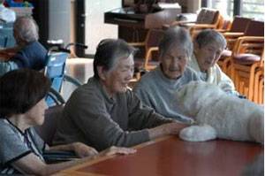 일본산업종합연구소가 개발한 돌봄 로봇 ‘파로(PARO)’/일본산업종합연구소 홈페이지 캡쳐