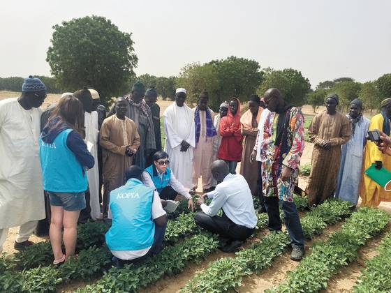 [세네갈·2020(조성 연도)·땅콩,양계(품목)] 성과 : 복합영농으로 땅콩 생산량 52.9% 증가, 계란 산란율 3.9% 증가