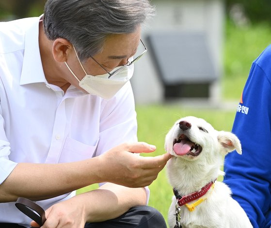 이재명 더불어민주당 후보가 8월 20일 보호견 '오리'와 시간을 보내고 있다. 이 후보는 당시 개식용 금지, 동물병원의 진료항목과 진료비 표준화, 반려동물 의료보험 도입 및 반려동물 공제조합 설립 검토, 반려동물 양육 전 '반려동물 기본예절교육' 의무화, 반려동물 행동지도사 신설, 무분별한 동물거래 행위 제한 등의 동물복지 공약을 내걸었다. 뉴스1