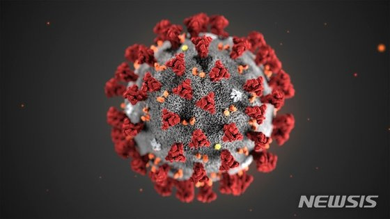 미국 질병통제예방센터(CDC)가 발표한 '신종 코로나바이러스' 이미지. [AP=뉴시스]