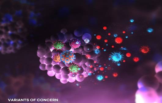 오미크론 확진이 확인된 국가는 남아프리카공화국, 보츠와나, 영국, 독일, 이탈리아, 체코, 오스트리아, 벨기에, 호주, 이스라엘, 홍콩, 네덜란드, 덴마크, 프랑스에 이어 캐나다까지 총 15개국이다