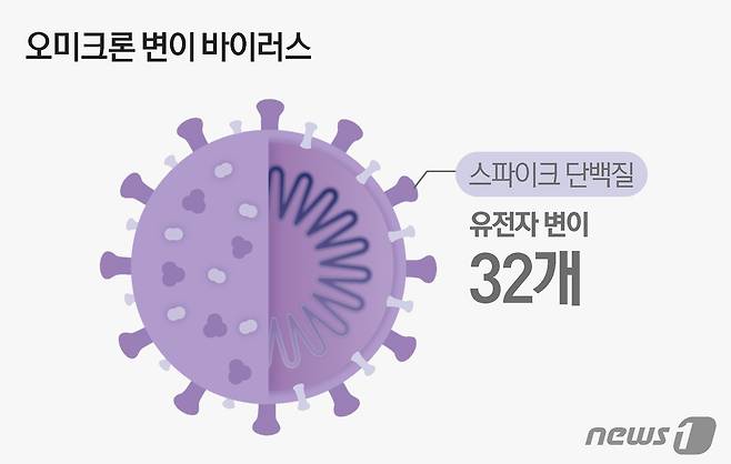 © News1 윤주희 디자이너