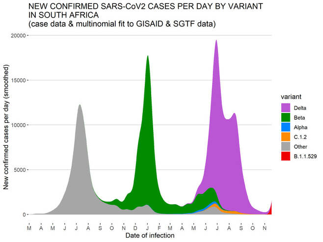 남아프리카공화국에서 델타 변이 확진이 감소하고 오미크론 변이가 증가하는 것을 확인할 수 있다. 벨기에 생물학자 톰 벤셀리스(Tom Wenseleers) 트위터 갈무리.