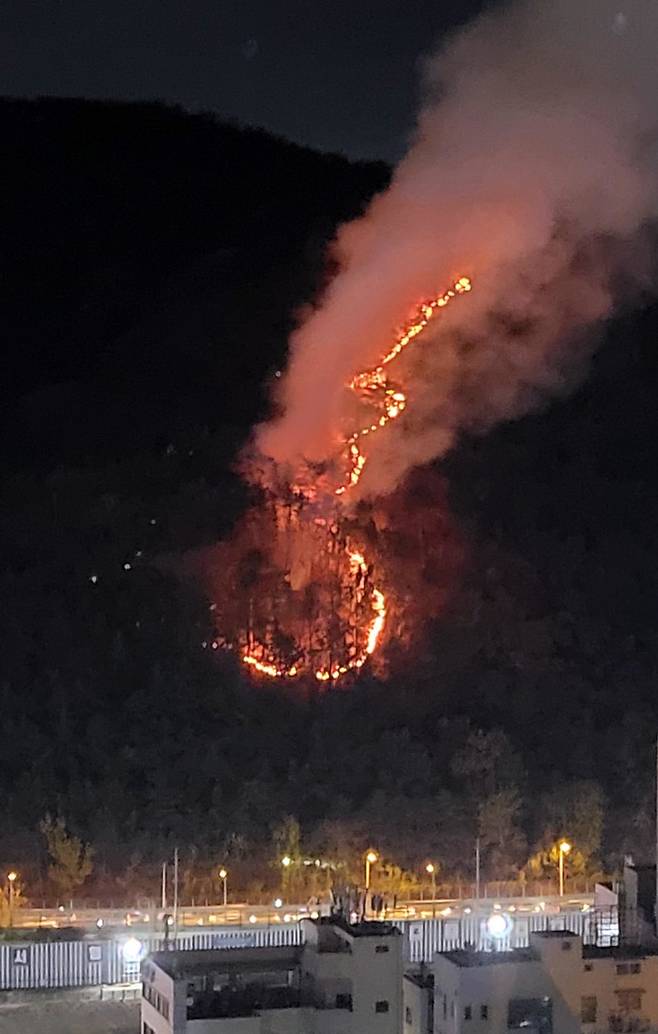 [부산=뉴시스] 29일 오후 부산 북구 덕천동의 한 아파트 뒤 야산 3부 능선에서 원인이 밝혀지지 않은 불이 났다. 2021.11.29. (사진=부산소방재난본부 제공). photo@newsis.com  *재판매 및 DB 금지