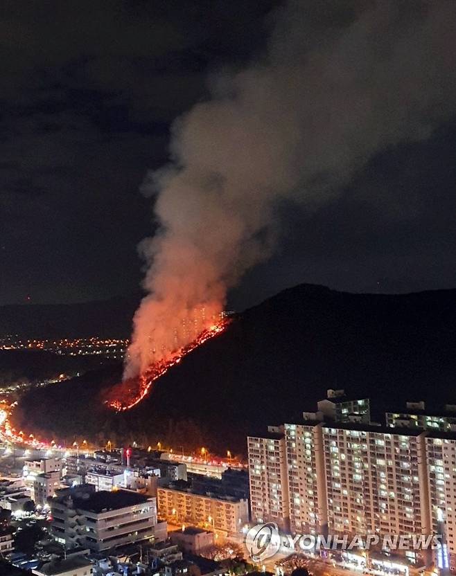 부산 아파트 인근 야산서 불 (부산=연합뉴스) 29일 오후 부산 북구 덕천동 한 아파트 인근 야산에서 불길과 연기가 치솟고 있다. 2021.11.29 [부산경찰청 제공·재판매 및 DB 금지] pitbull@yna.co.kr