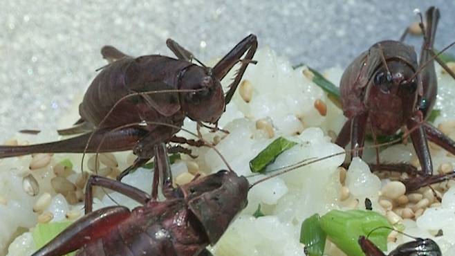 한 자연인 분께서 직접 만든 음식 모습(자료=MBN)