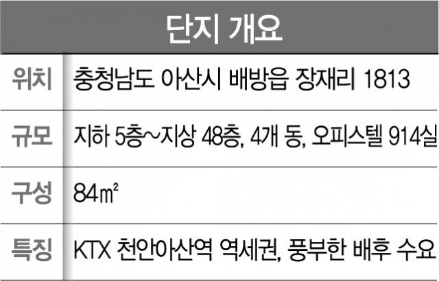 사진 설명