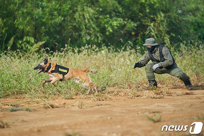 경찰 체취견 마리 훈련 모습. © 뉴스1