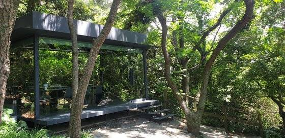 나만의 공간으로 간직하고 싶을 정도로 좋았던 제주 카페 '엘엠엔티'. 많은 호텔과 관광지가 가득한 중문에서, 한가로이 숲속에서의 시간을 지낼 수 있는 공간이다. 사진은 지난 여름의 모습이다. [사진 정춘목]