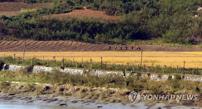 밭에서 일하는 북한 주민들 [연합뉴스 자료사진]