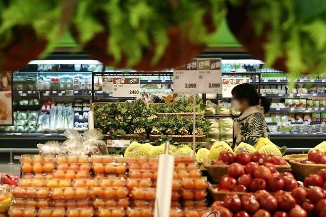 우리나라 식료품 및 비주류음료 물가가 3분기(7~9월)에 지난해 같은 기간보다 5.0% 올라 경제협력개발기구(OECD) 회원 국 중 다섯 번째로 높은 상승률을 기록했다. 사진은 6일 서울 시내 한 대형마트에서 장을 보는 시민들. /사진=연합뉴스