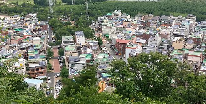 울산 남구 삼호그린빌리지의 각 주택옥상에 8일 태양광 모듈이 즐비하게 설치돼 있다.│울산남구 제공