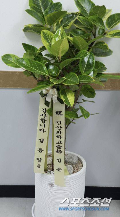 성동일이 성준군 학원에 보낸 감사 화분/스포츠조선