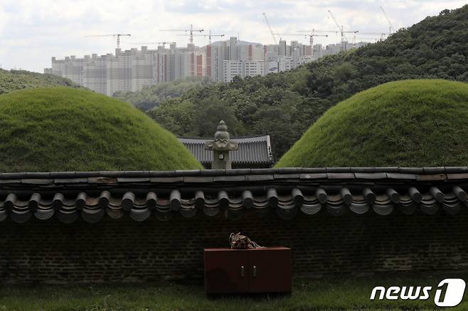 경기도 김포시 풍무동 장릉(사적 제202호)에서 인천 서구 검단신도시에 짓고 있는 아파트 단지가 보이고 있다.  /사진제공=뉴스1