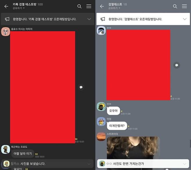 10일 카카오톡 오픈채팅에선 불법촬영물 필터링 수위를 테스트하는 그룹채팅방이 우후죽순 생겼다. 해당 방에선 다양한 음란 사진과 동영상이 공유됐다. 빨간색은 해당 이미지를 가린 부분. /사진=독제 제공