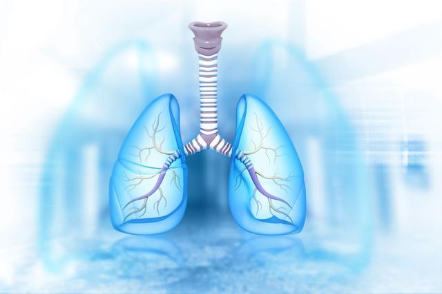 병 원인을 알 수 없는 특발성 폐섬유증은 평균 생존율이 7, 8년 정도에 불과할 정도로 치명적이다. 게티이미지뱅크