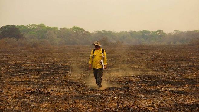 불에 탄 아마존 판타나우습지에서 연구원이 동물들의 피해를 조사하고 있다. 브라질 ‘육식성 포유류 연구 및 보존을 위한 국립센터/생물다양성 보전을 위한 치코 멘데스 연구소’(CENAP/ICMBIO) 제공