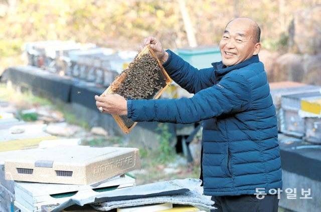전남 구례군에 사는 김윤식 씨가 양봉하는 벌통을 들어 보이고 있다. 구례=전영한 기자 scoopjyh@donga.com